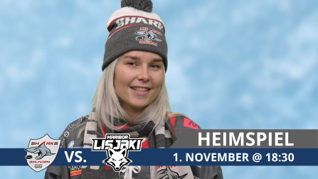 thumbnail of medium Traunsee-Sharks vs. HDK Maribor | 1.11. 18:30 @ MUKI Arena