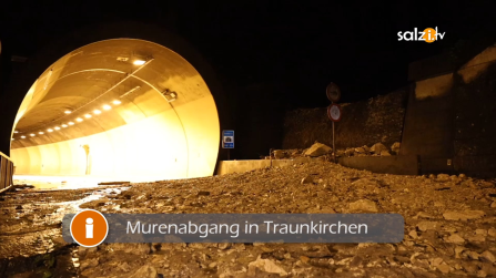 thumbnail of medium Murenabgang in Traunkirchen