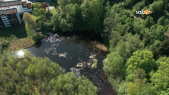 thumbnail of medium Werner Huemer und Otto Steinz: Die Krottensee-Bewahrer