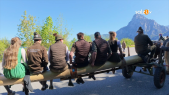 thumbnail of medium Der Maibaum kommt in Traunkirchen mit den Pferden 