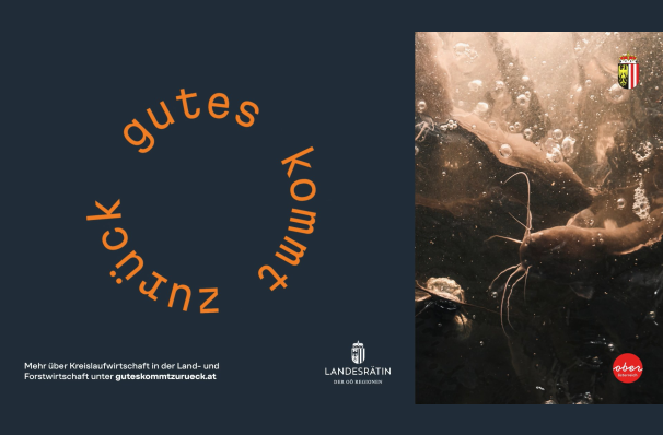 thumbnail of medium Gutes kommt zurück!