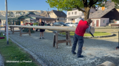 thumbnail of medium Der lange Weg zum Maibaum – Eine Tradition hautnah