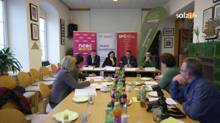 thumbnail of medium Vorbehaltsgebiet – Gemeinsame Stellungnahme von GRÜNEN, SPÖ, FPÖ und NEOS