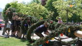 thumbnail of medium Maibaum in Not – Feuerwehr rettet die Tradition!